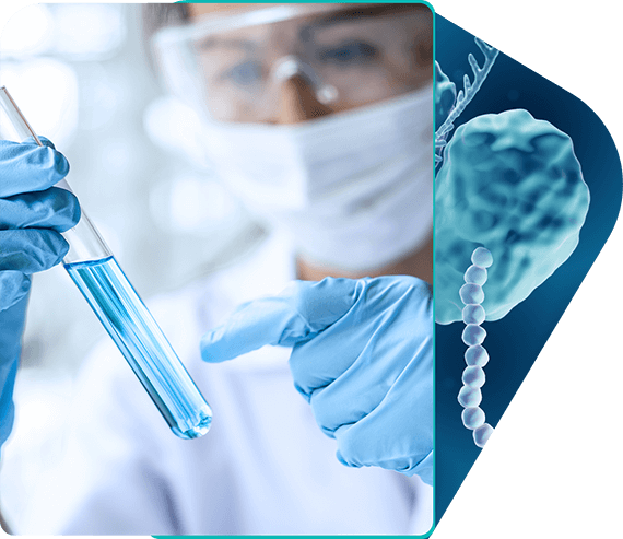 Protein Drugs Monitoring Kits